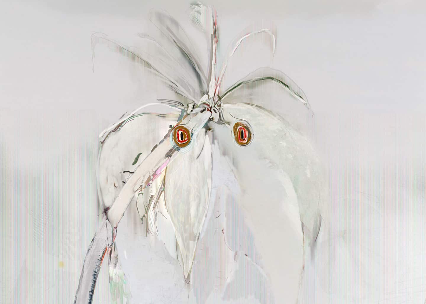 Alex Fischer, Parrots, 2011, 60×84 inch digital matte giclee
